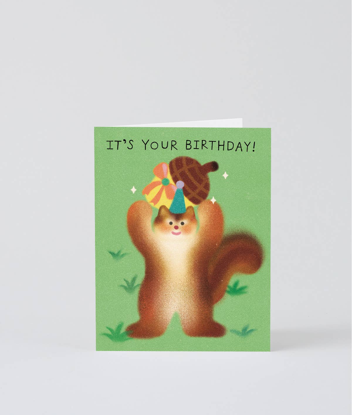 It's Your Birthday Squirrel Kids Greeting Card