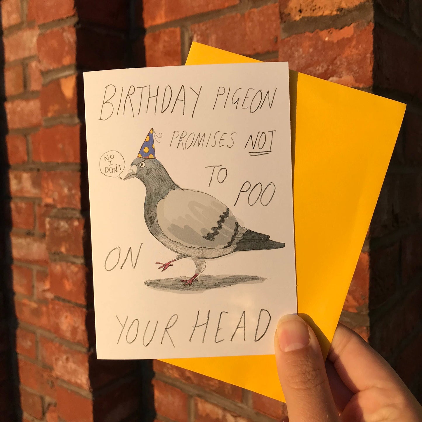Birthday Pigeon Promises Not To Poo On Your Head Card Funny