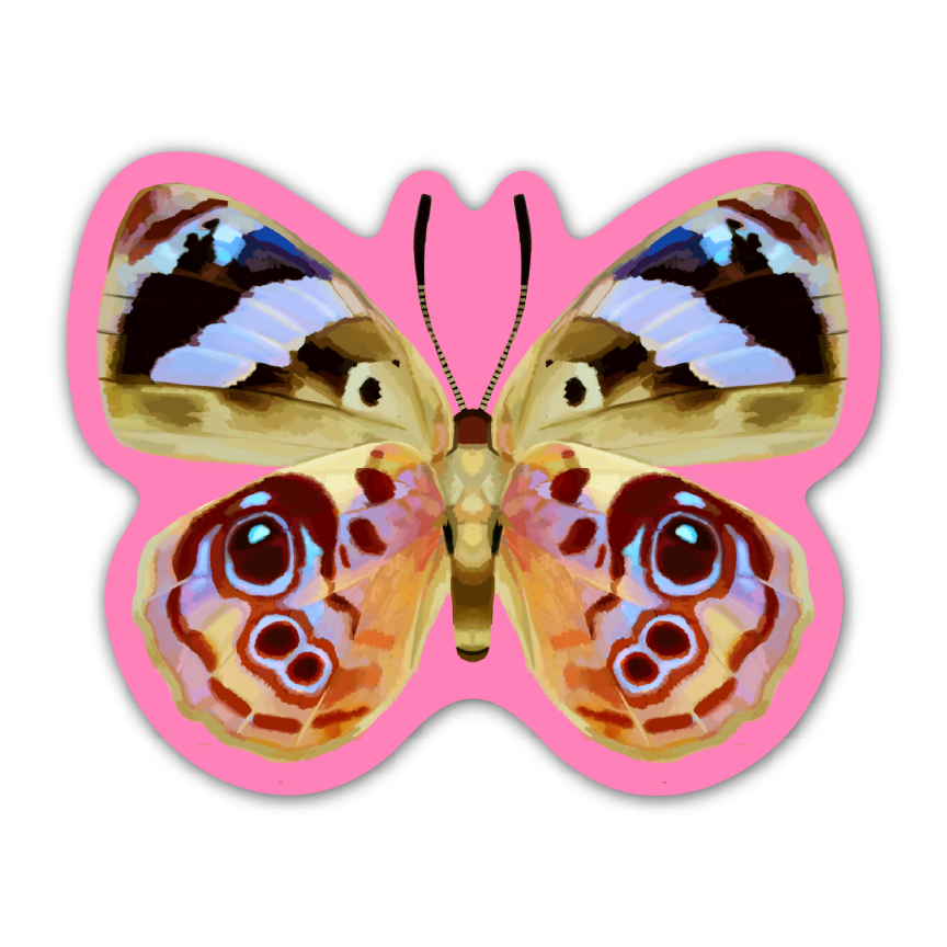 PINK BUTTERFLY! Sticker