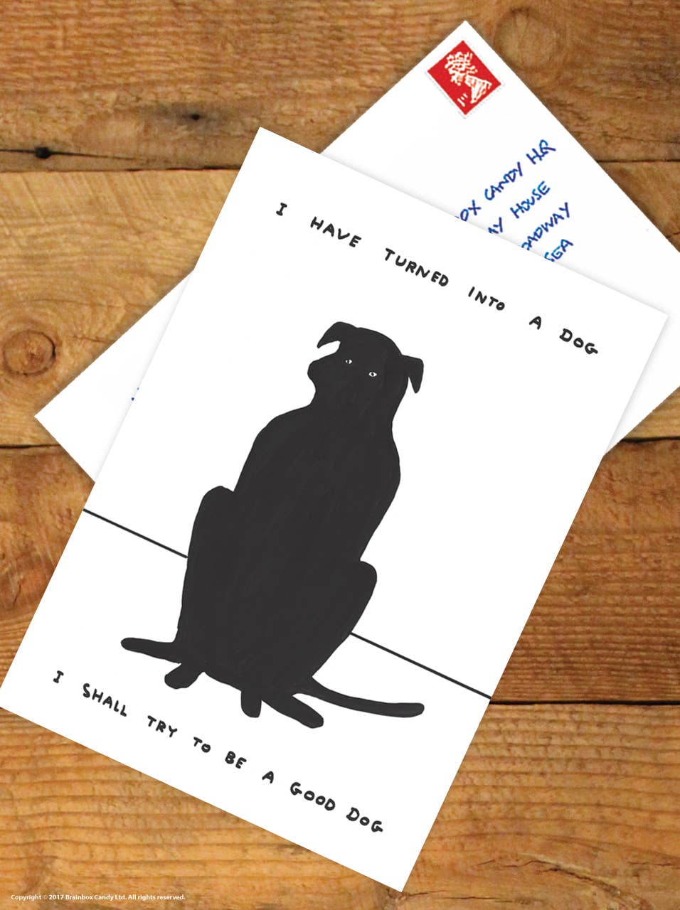 A6 Art Postcard By David Shrigley - Turned Into A Dog
