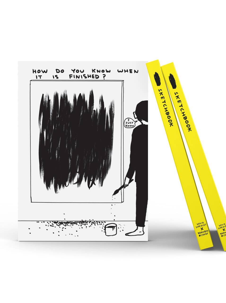 David Shrigley Sketchbook - How Do You Know