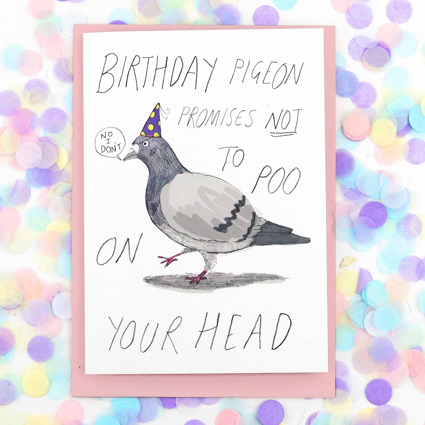 Birthday Pigeon Promises Not To Poo On Your Head Card Funny