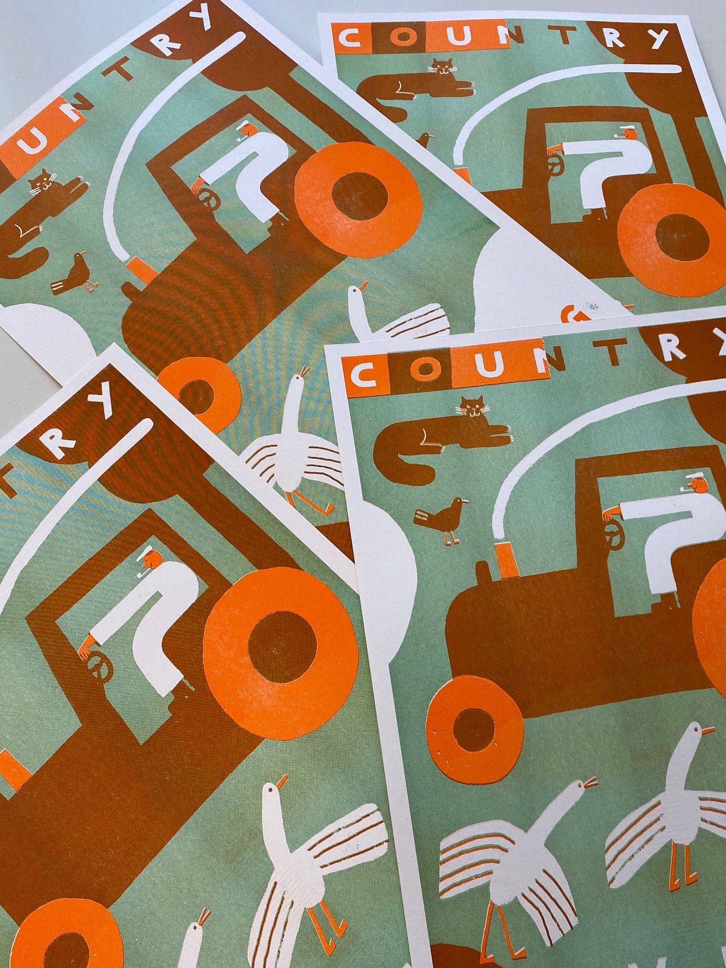 Country living riso print (A3)