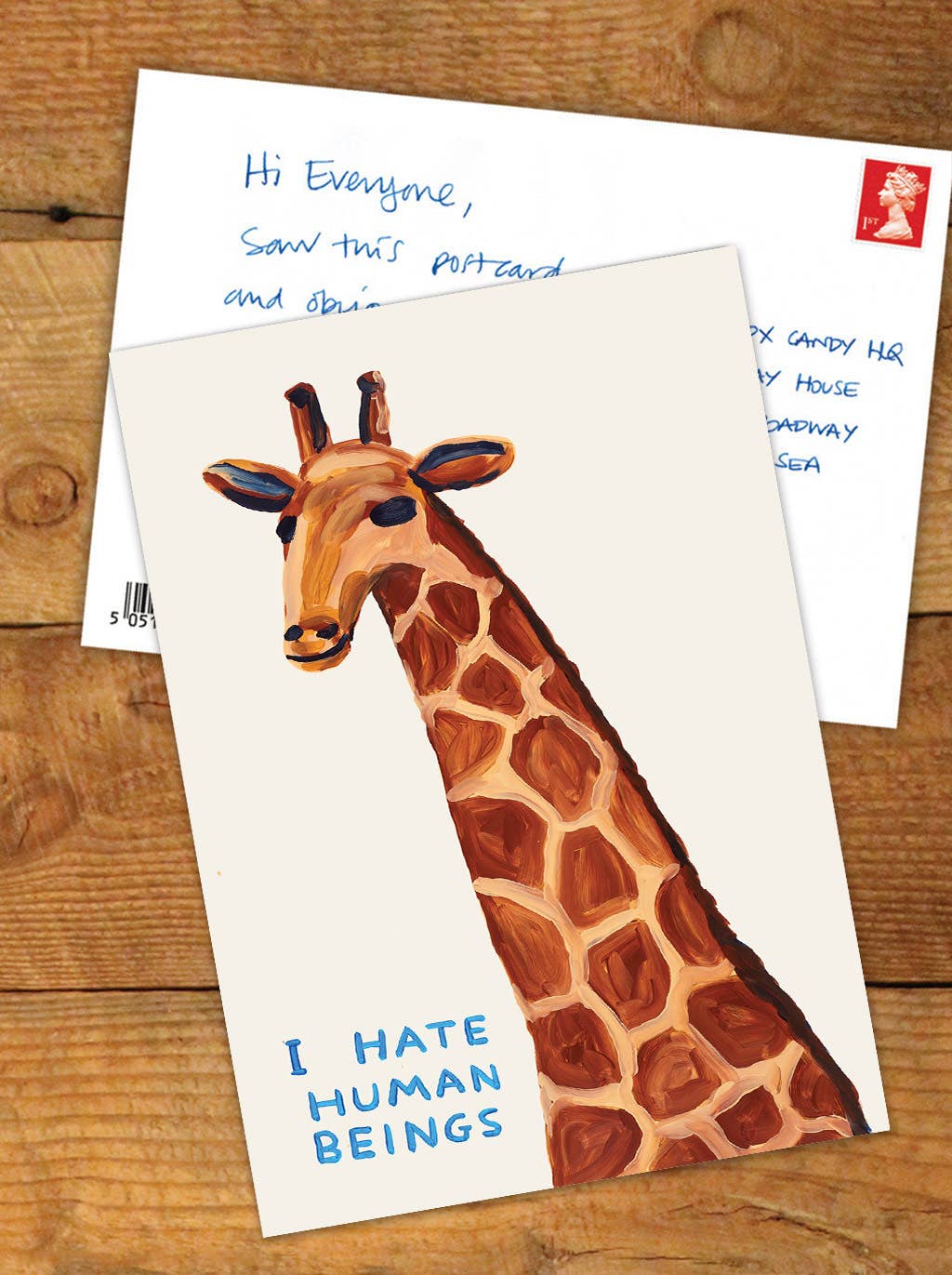 I Hate Human Beings David Shrigley Postcard