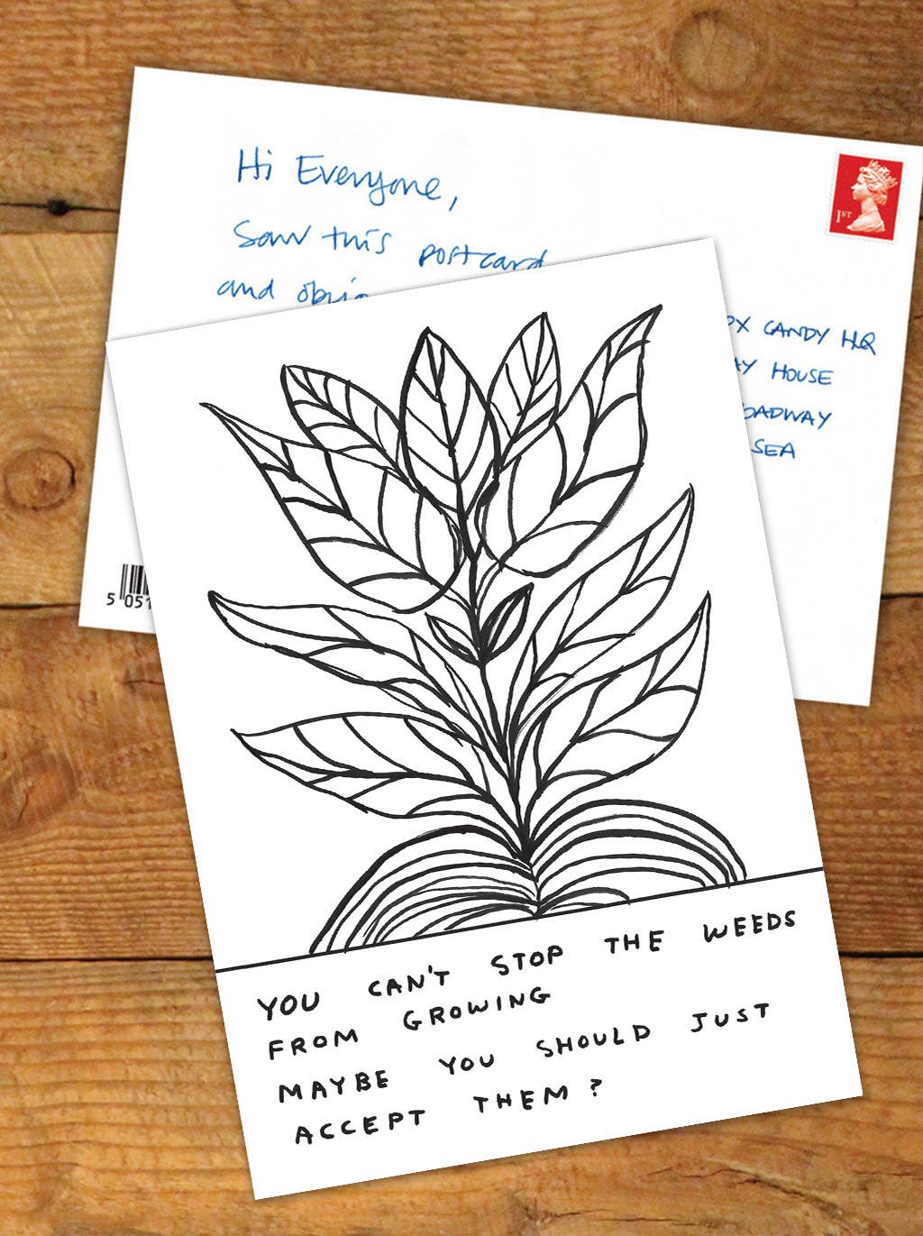 You Can't Stop the Weeds David Shrigley Postcard