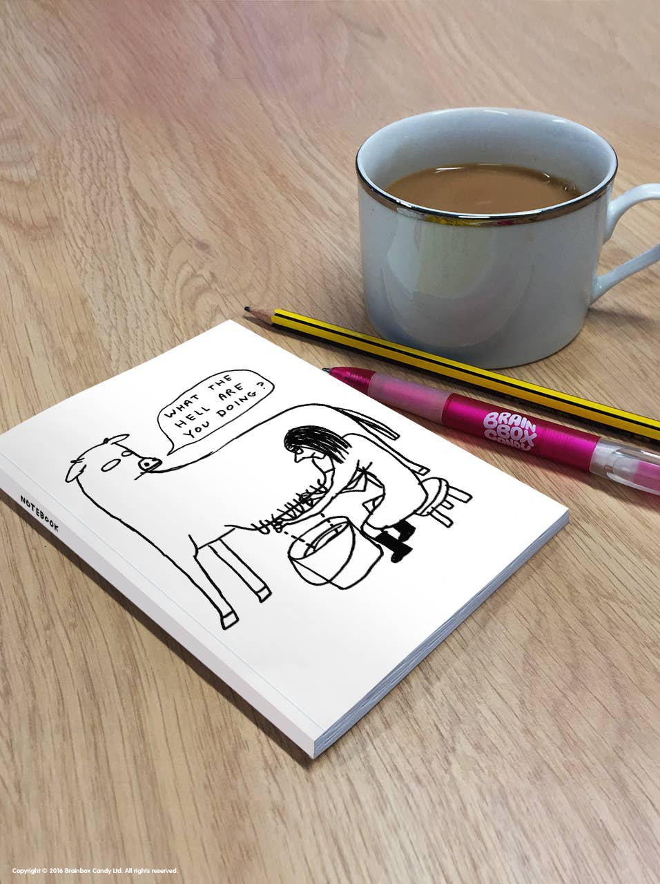 David Shrigley A6 Notebook What The Hell