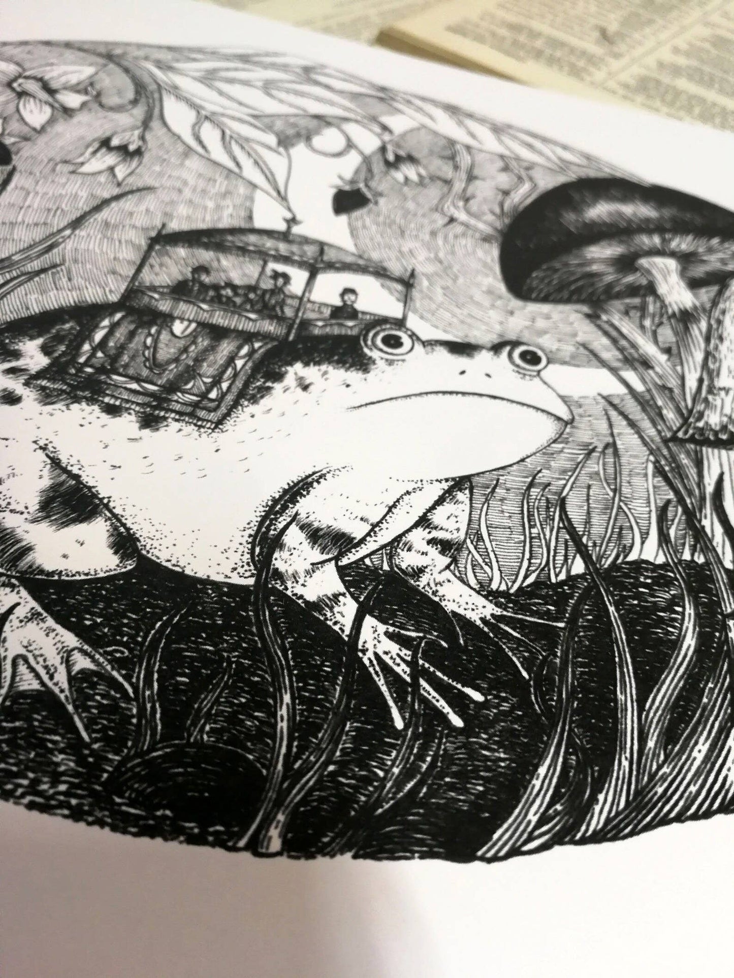 Hop On Hop Off- Fantasy Frog Art Print: A4