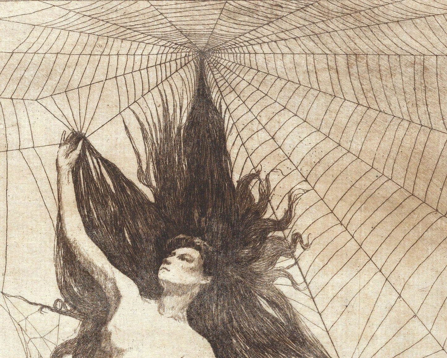 Vintage spider woman art A4
