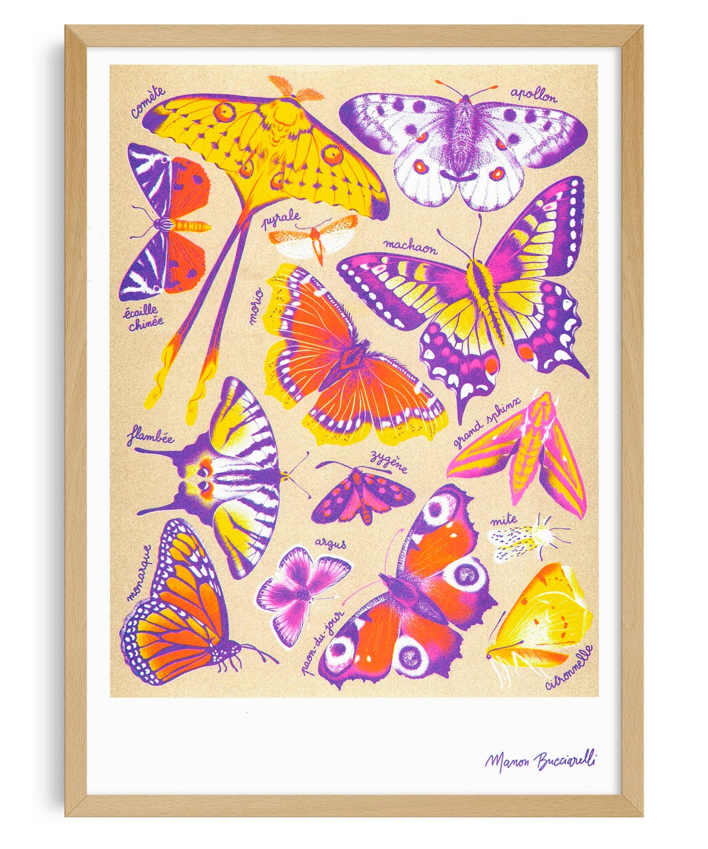 A3 Poster - Manon Bucciarelli - Butterflies