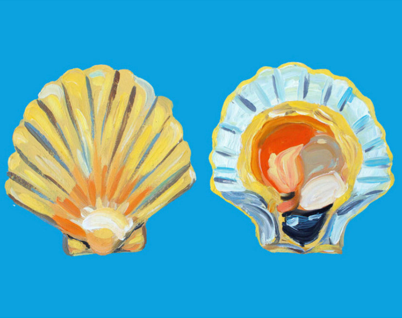 Scallops en Bleu A3 Art Print