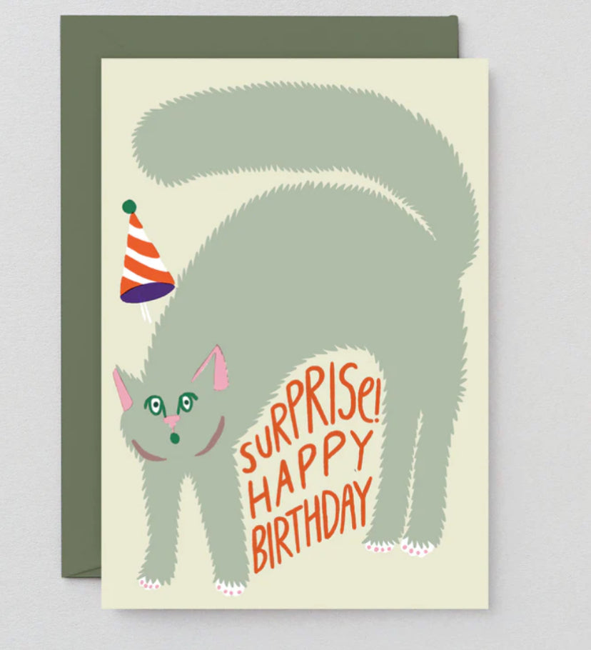 Cat Surprise Birthday Card