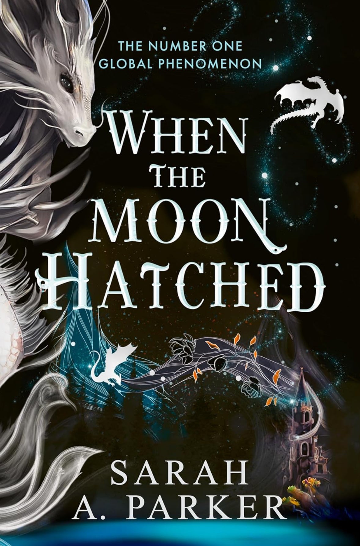 When the moon Hatched Paperback Book