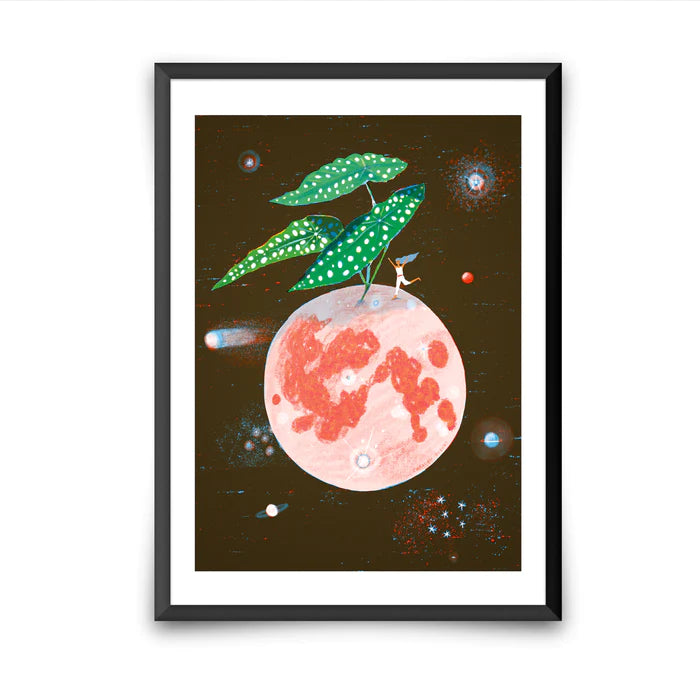 Cosmic Begonia A4 Art Print