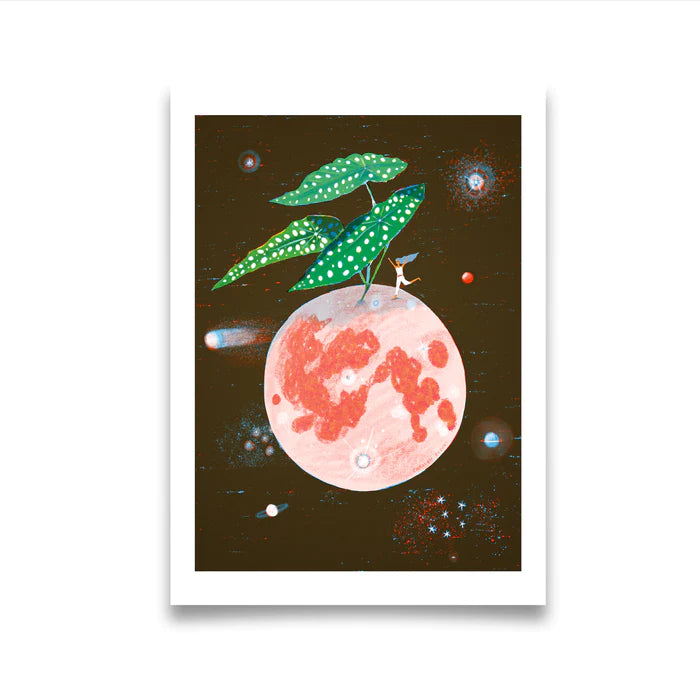 Cosmic Begonia A4 Art Print