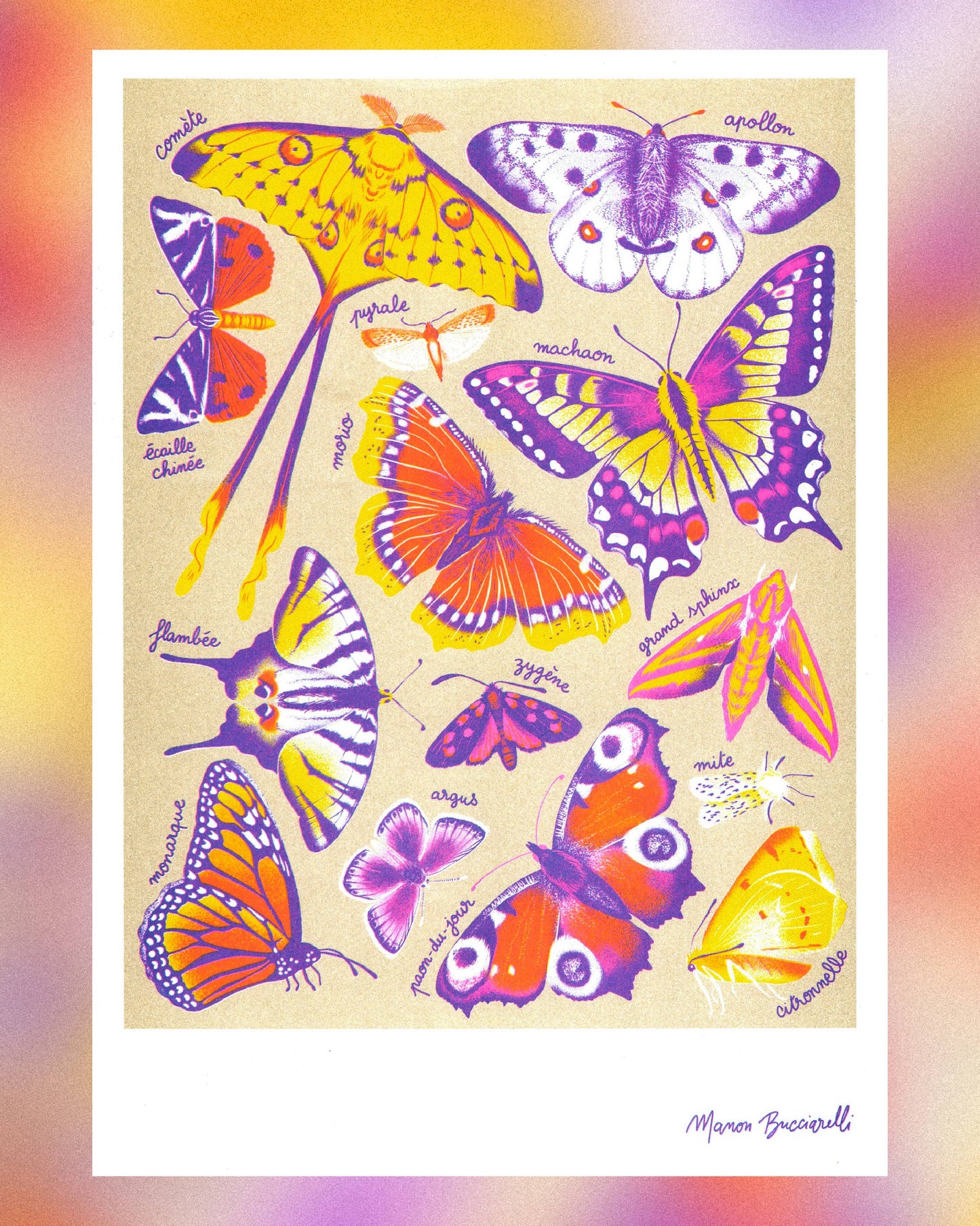 A3 Poster - Manon Bucciarelli - Butterflies