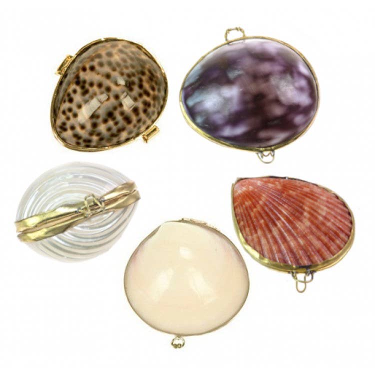 Shell Purse Scallop
