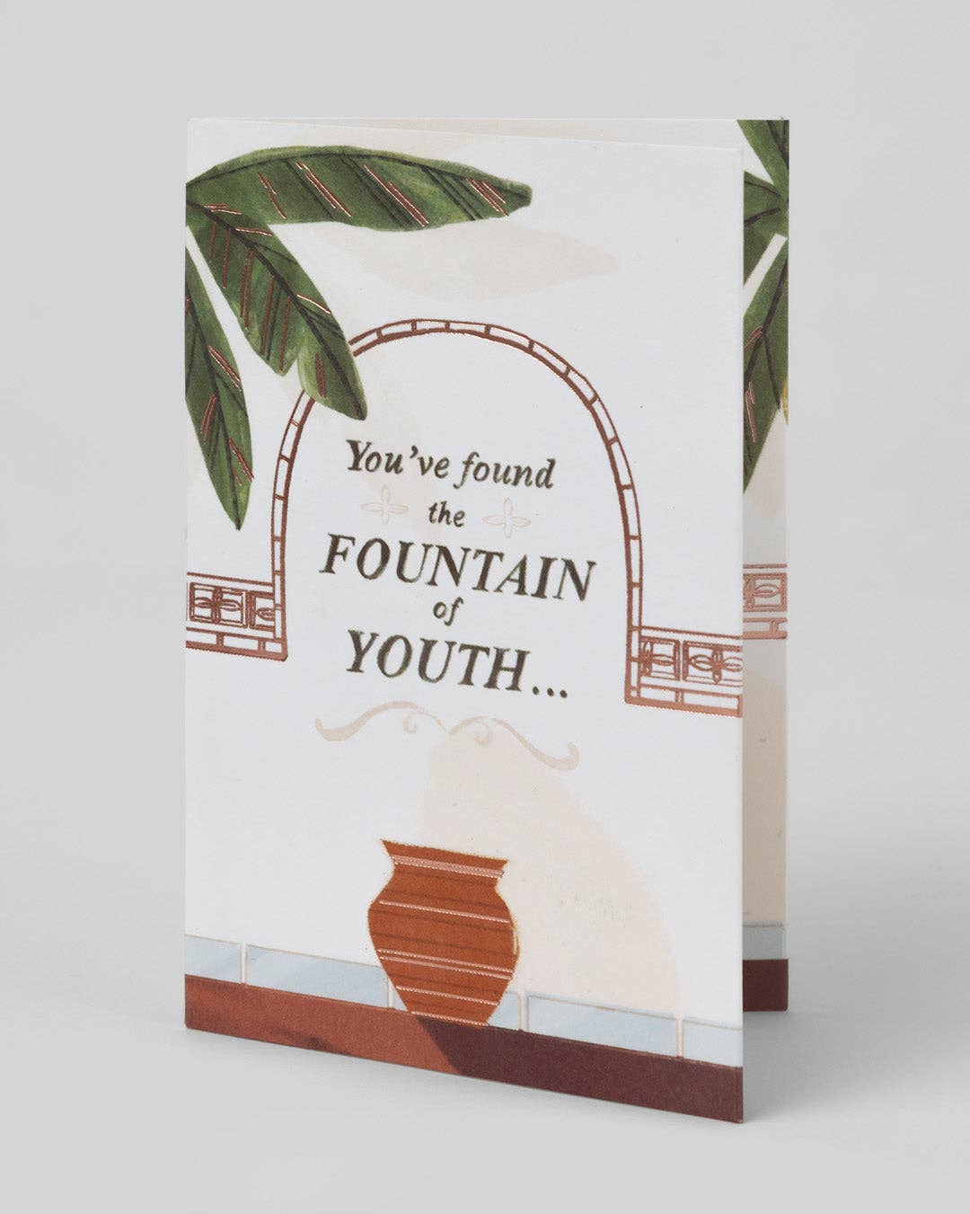 Fountain of Youth 3D Pop Up Birthday Card