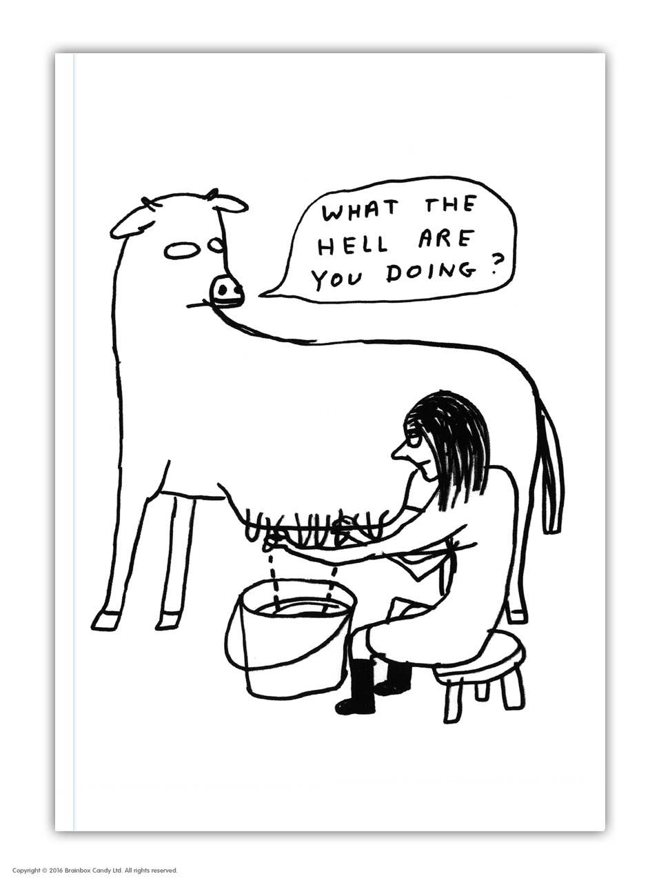 David Shrigley A6 Notebook What The Hell