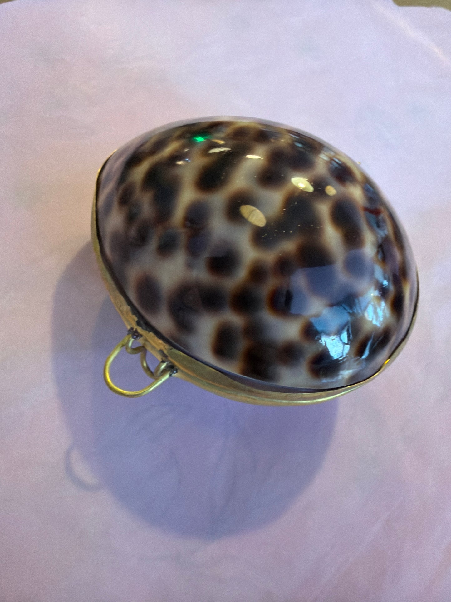 Shell Purse: Tiger Cowrie