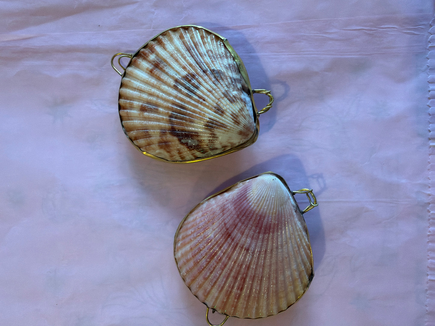 Shell Purse Scallop