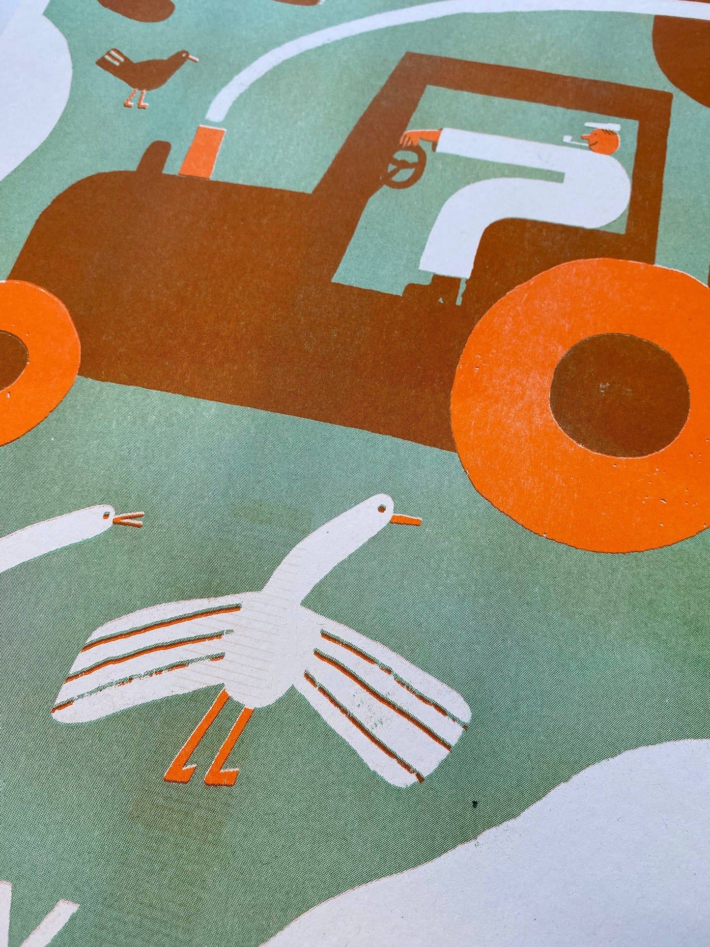 Country living riso print (A3)