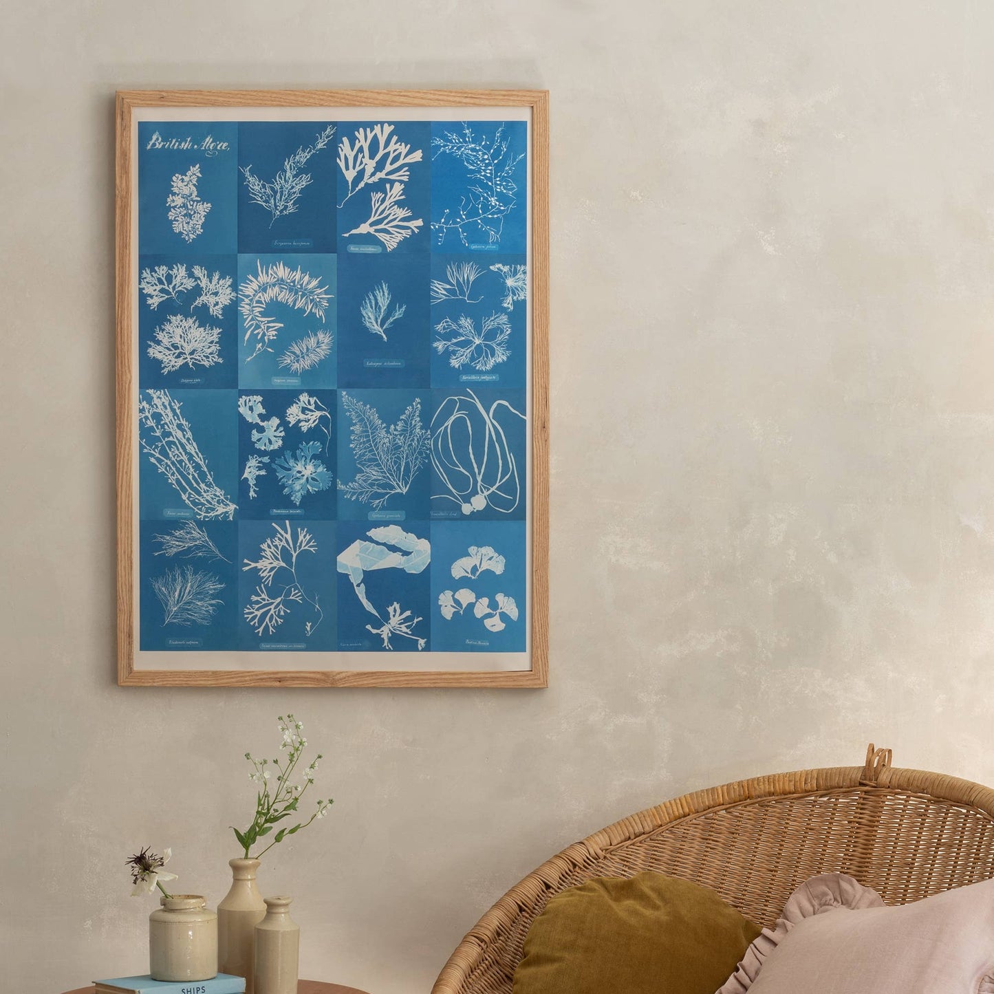 British Algae Cyanotype Impressions Fine Art Print: Unframed / A3