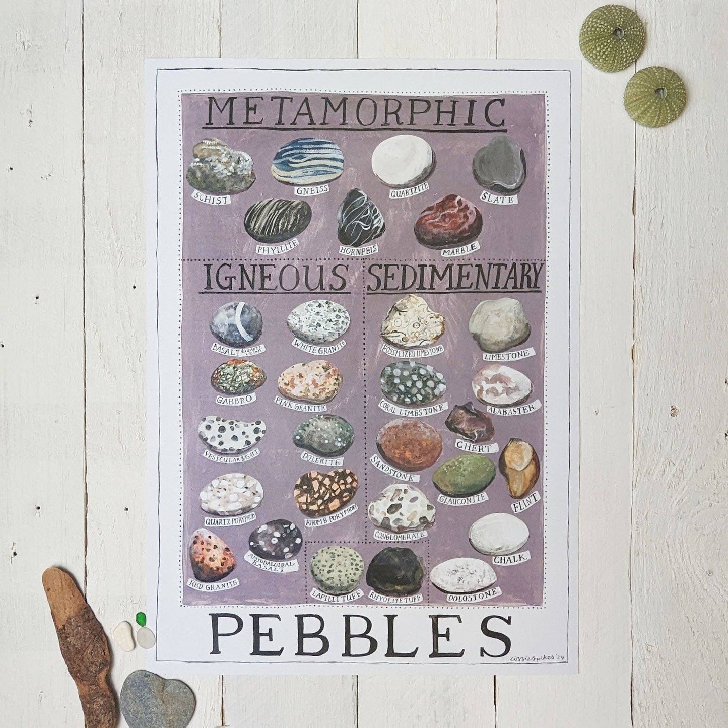 Pebbles Poster Print