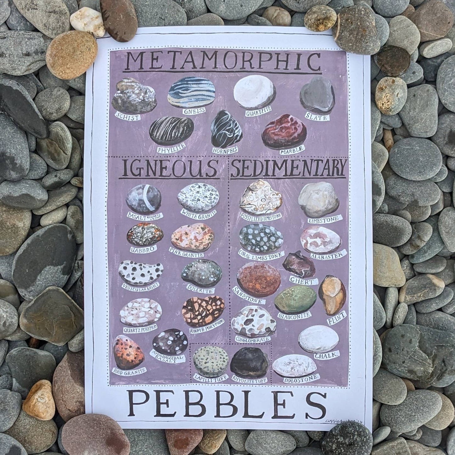 Pebbles Poster Print