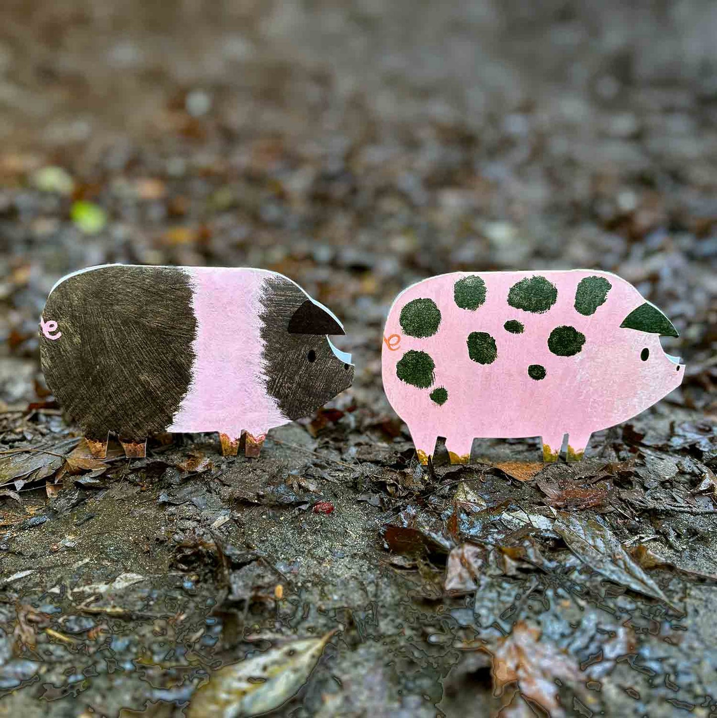 Striped Pig Birthday | Father’s Day Card | Kid Birthday Card