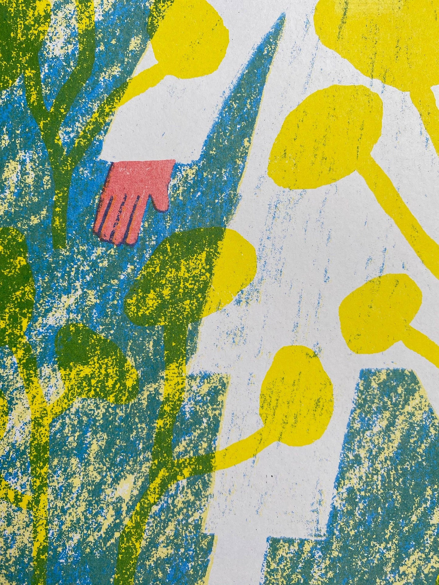 Surround Yourself With Nature riso print (A3)