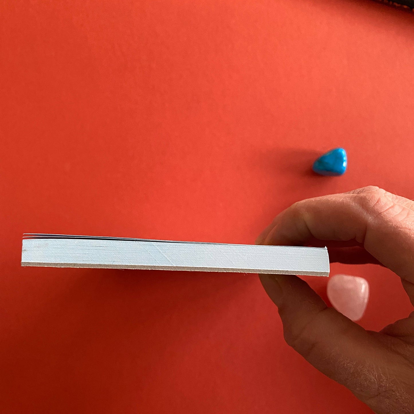 Things That Manifest Endorphin Dolphins A6 Jotter / Notepad