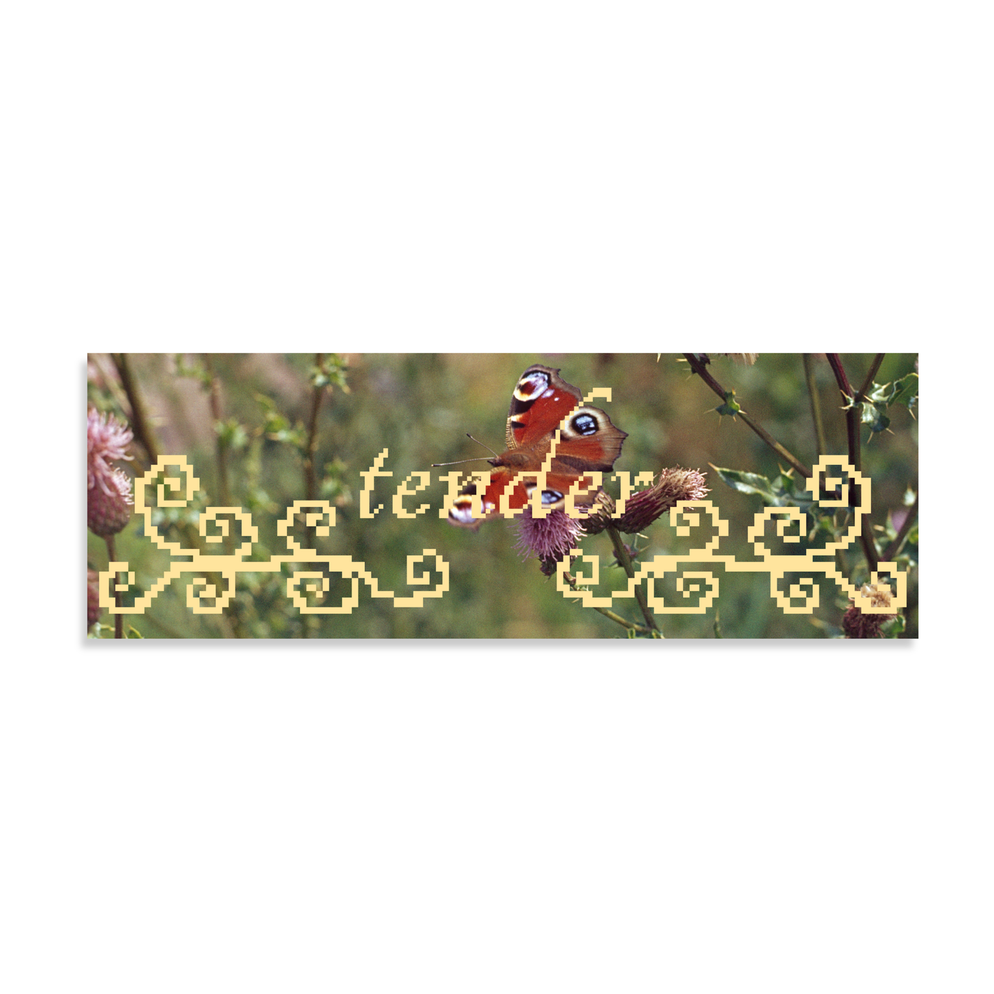 Bumper Sticker | "Tender" Butterfly with Pixel Art