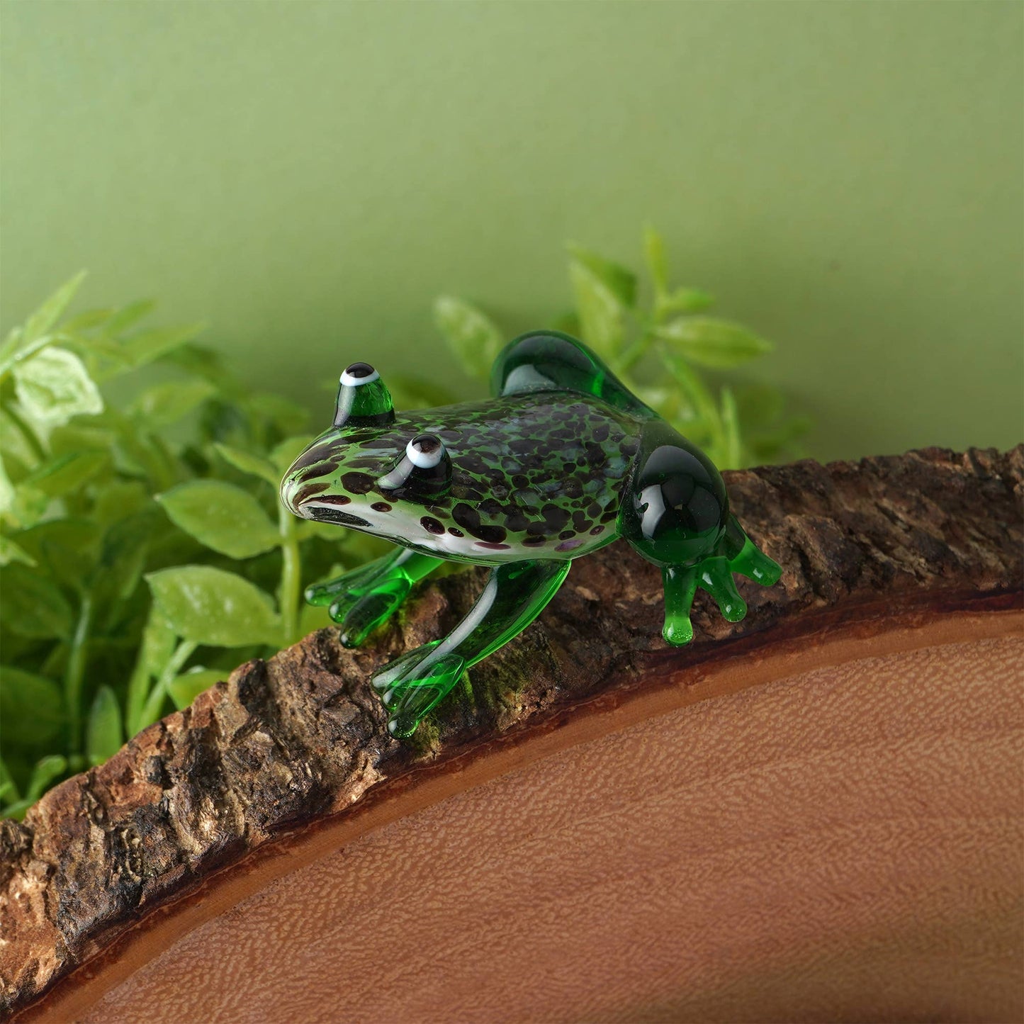 Glass Frog