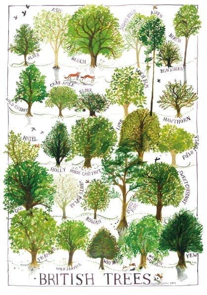 British Trees Poster Print