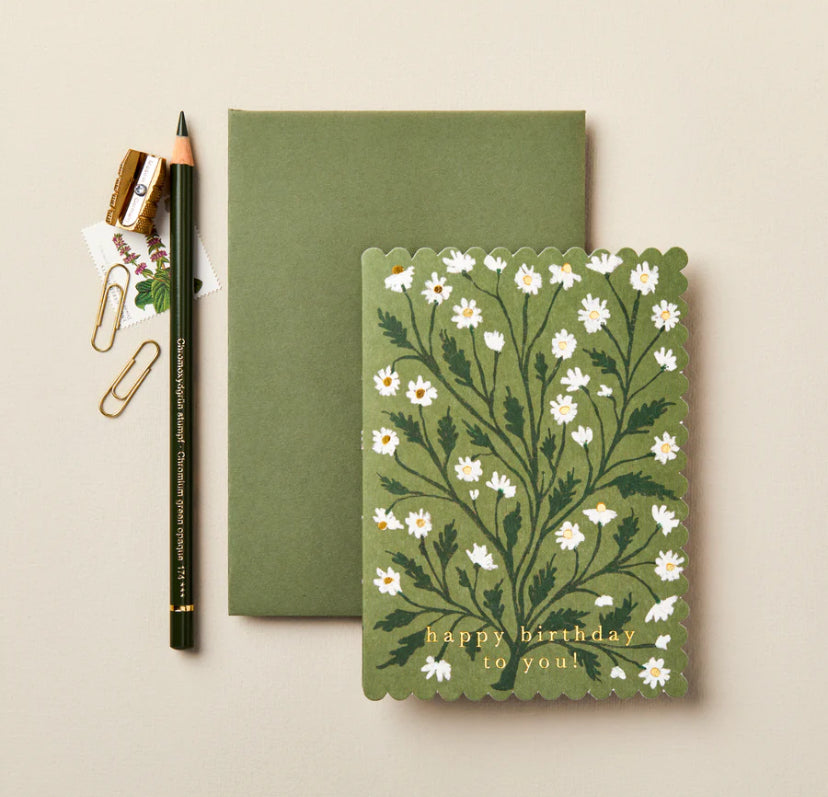 Daisies Birthday Card