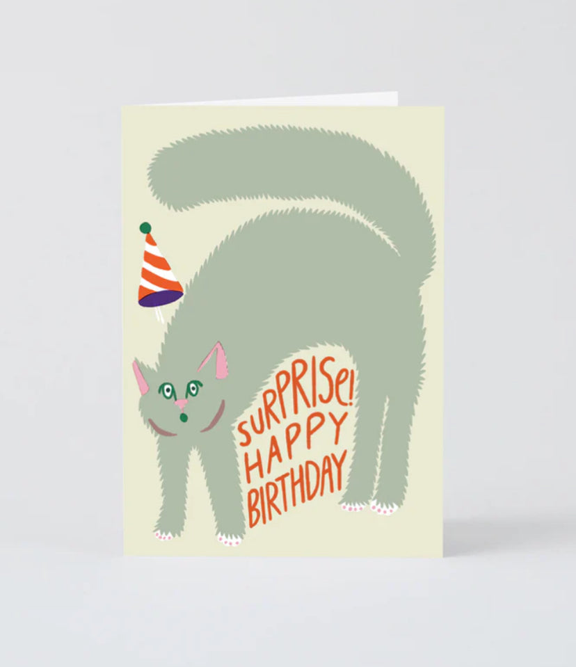 Cat Surprise Birthday Card