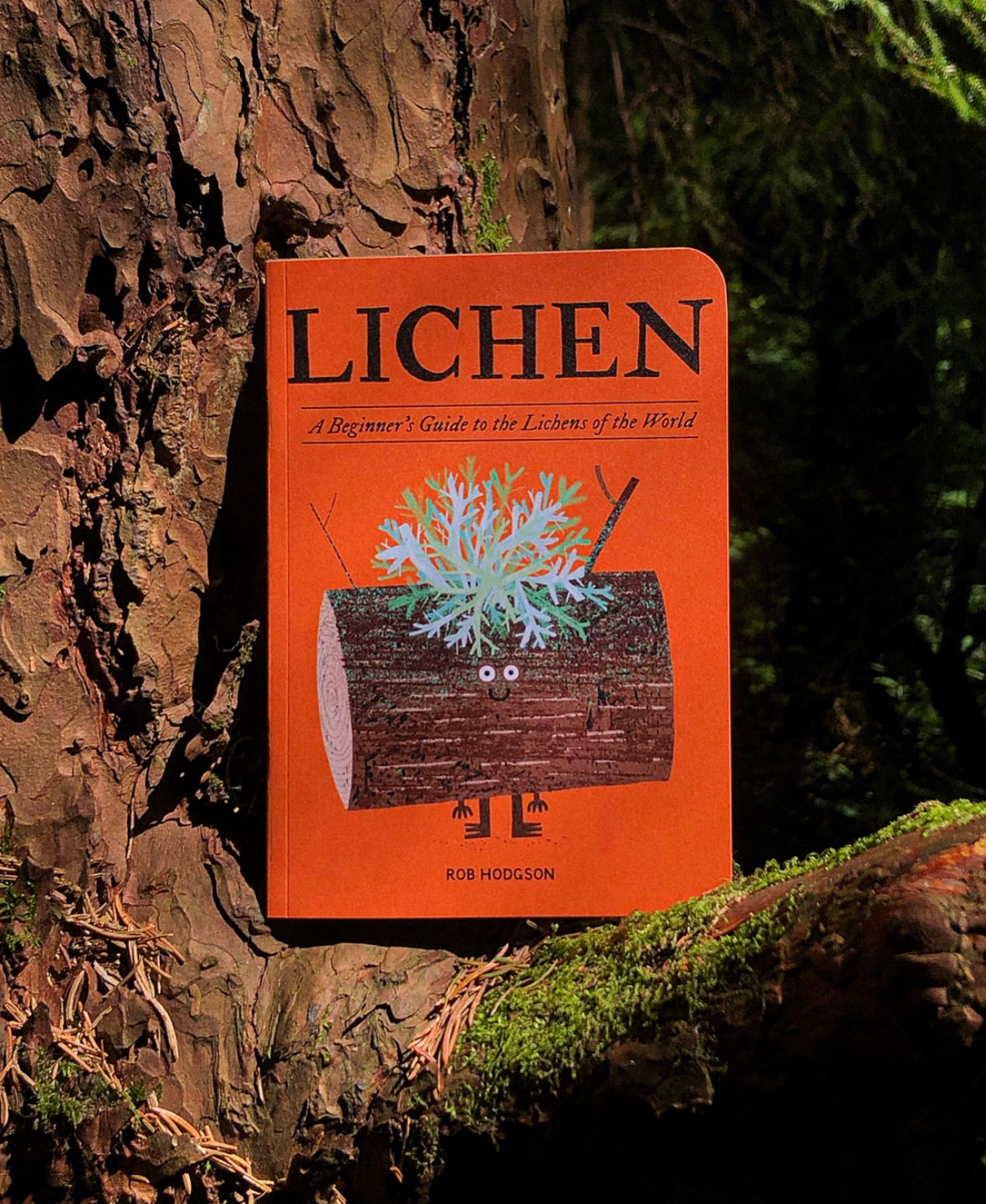 Lichen: an illustrated field guide by Rob Hodgson