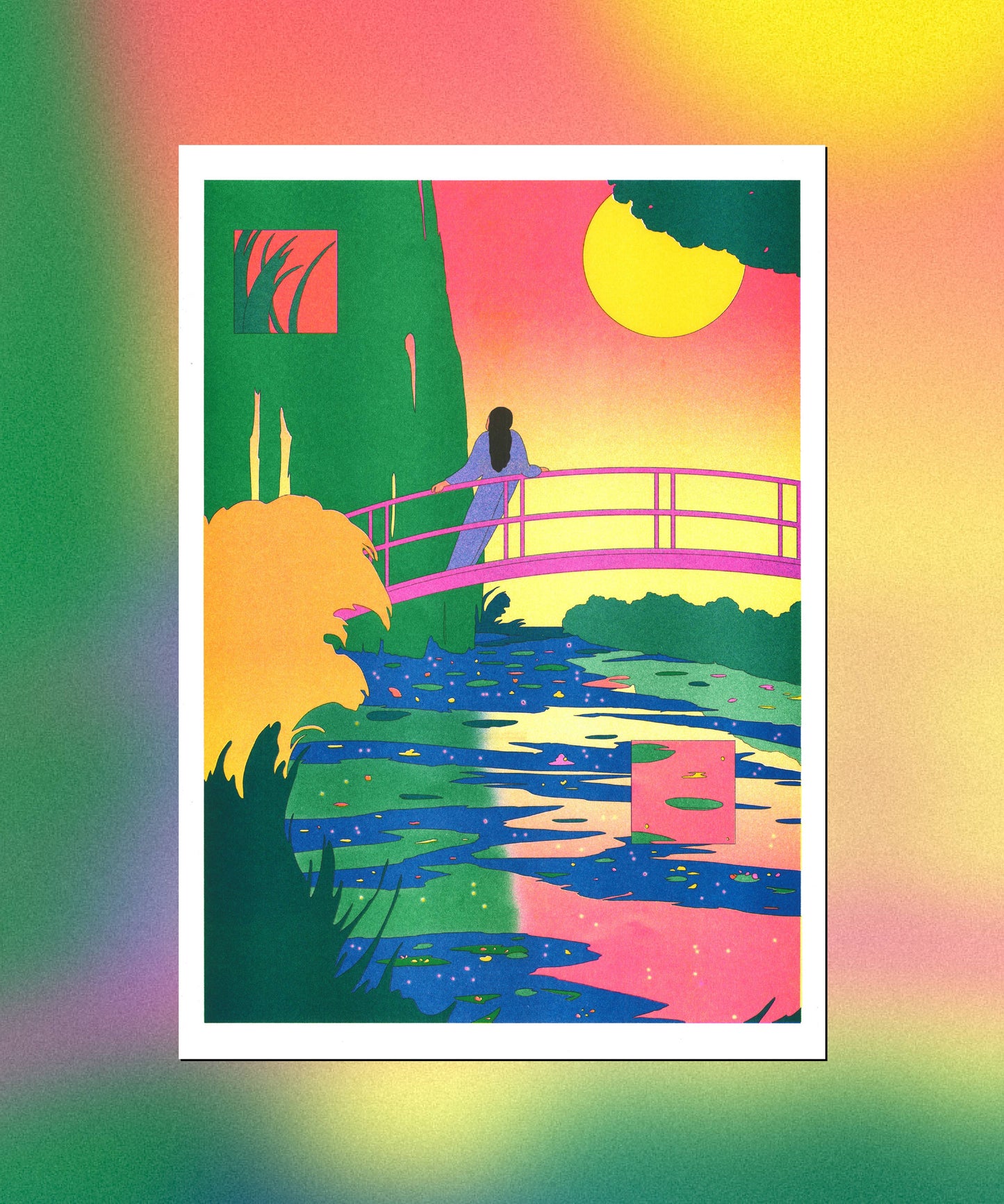 Display - The Water-Lily Pond, Pink Harmony - María Medem