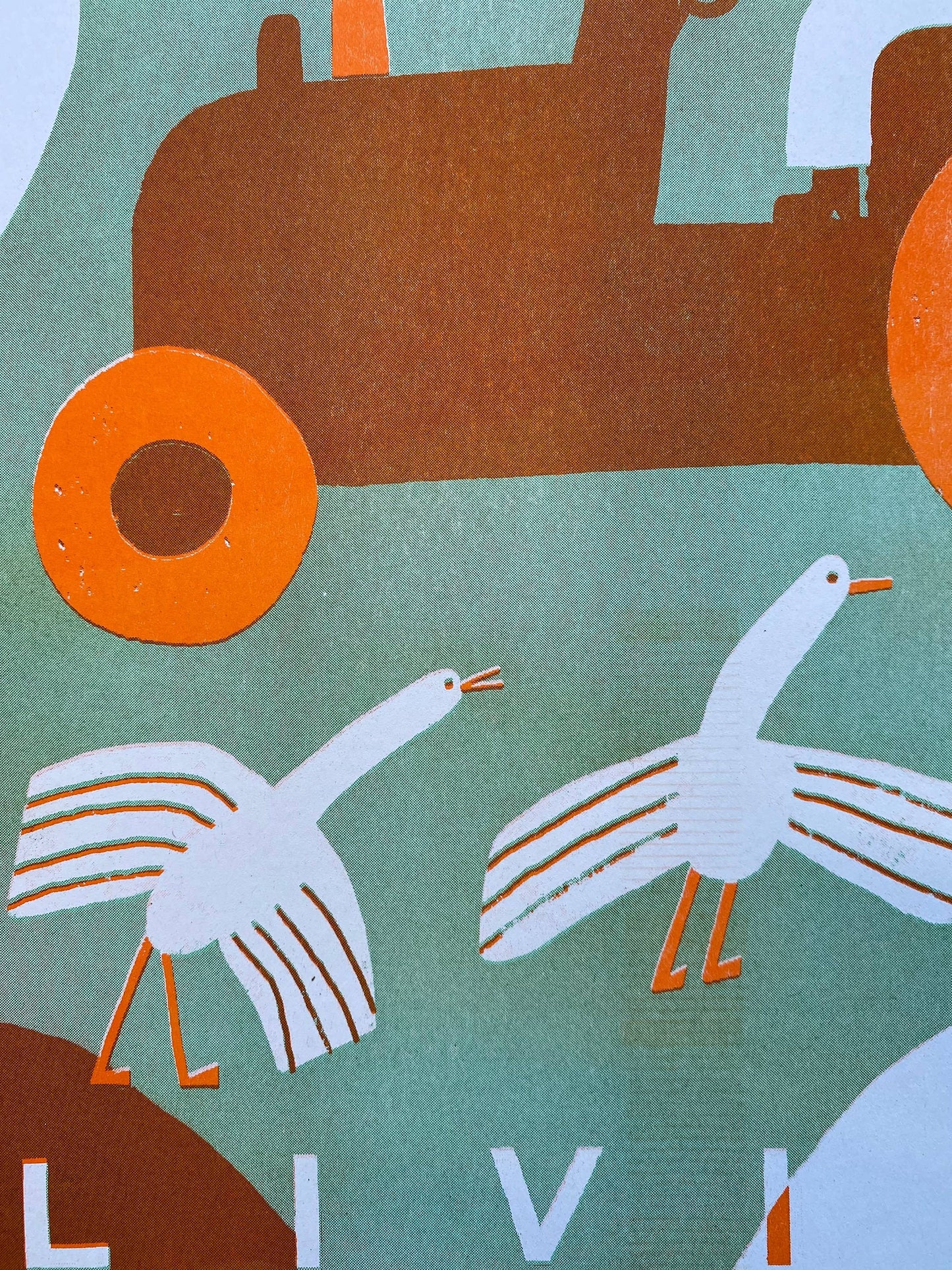 Country living riso print (A3)