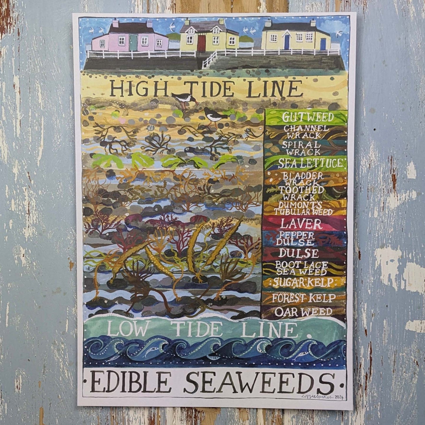 Edible Seaweeds Poster Print
