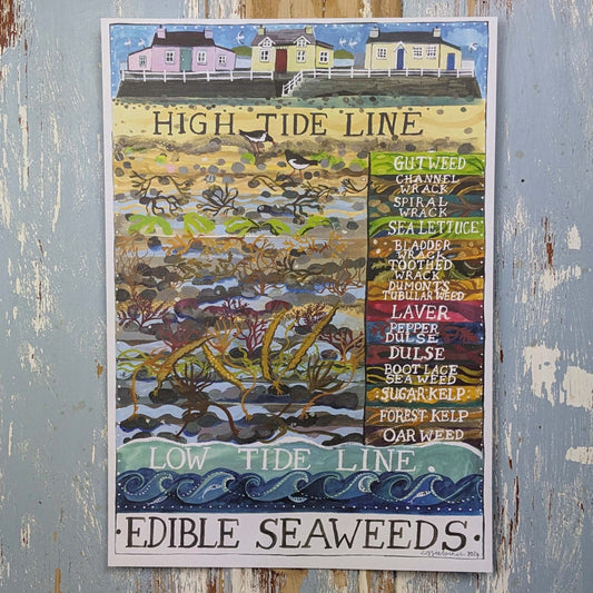 Edible Seaweeds Poster Print