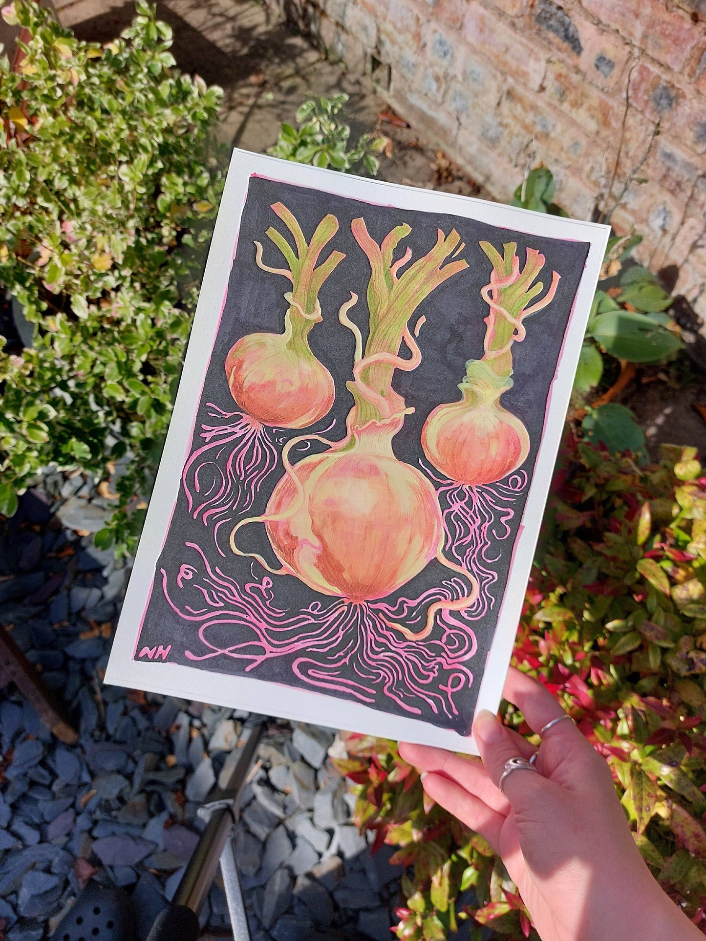Onion Print (A4)