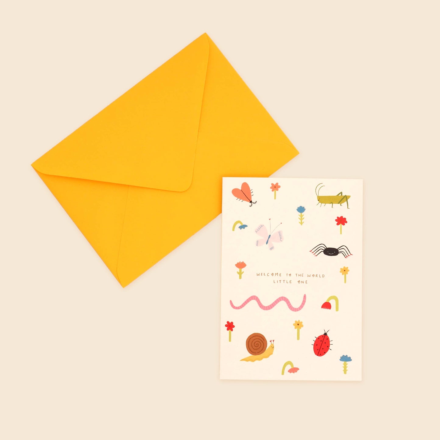 Welcome To The World New Baby Card