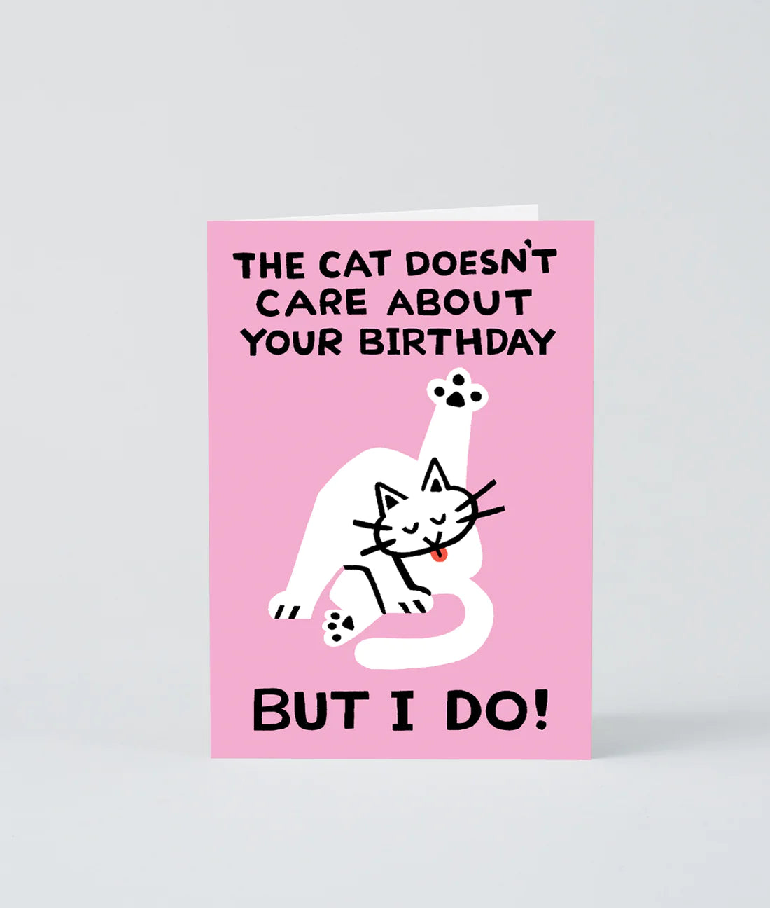 The Cat doesn't Care Birthday Card