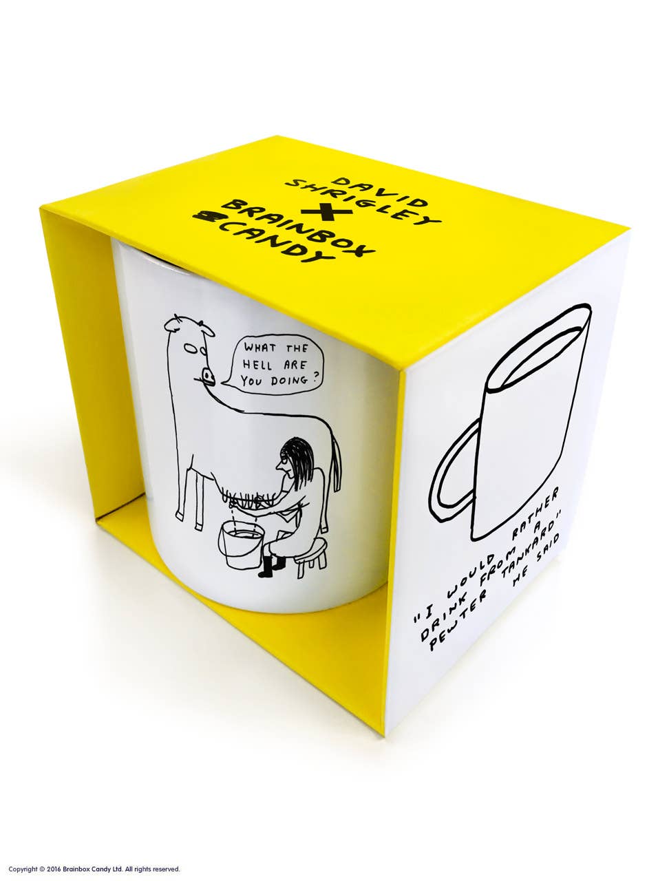 Funny Gift David Shrigley Mug - What The Hell