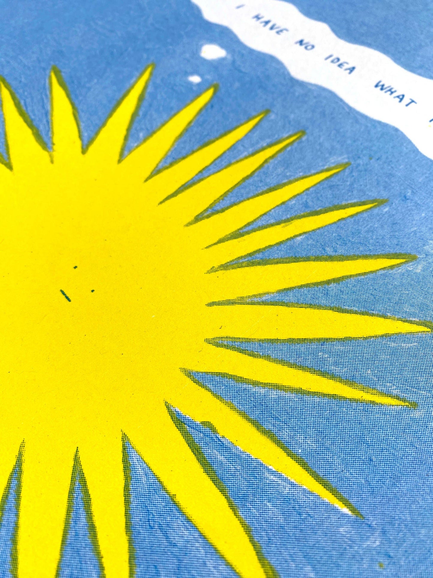 I Have No Idea What I'm Doing - A3 Riso Print