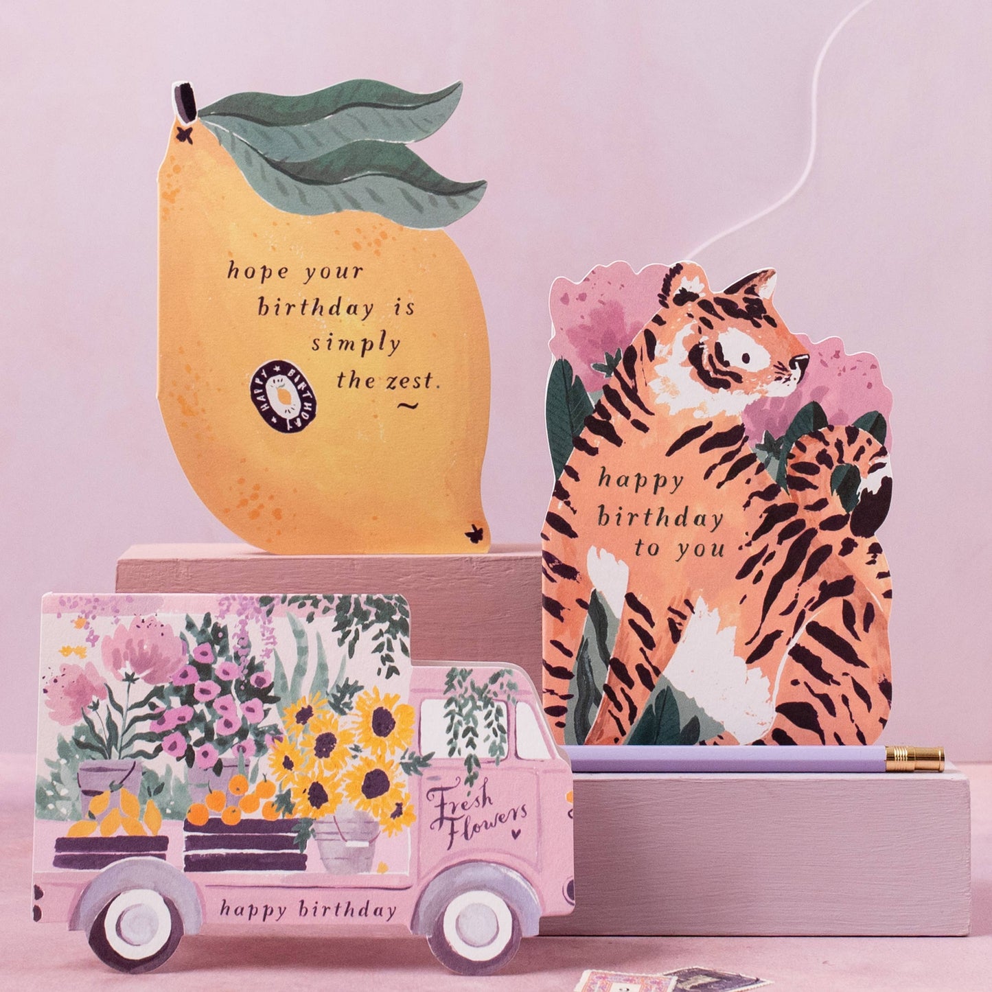 Tiger Birthday Cards | Tiger Cards | Animal Cards | Cards