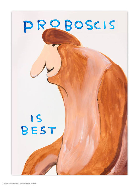Funny A6 Art Postcard by David Shrigley - Proboscis