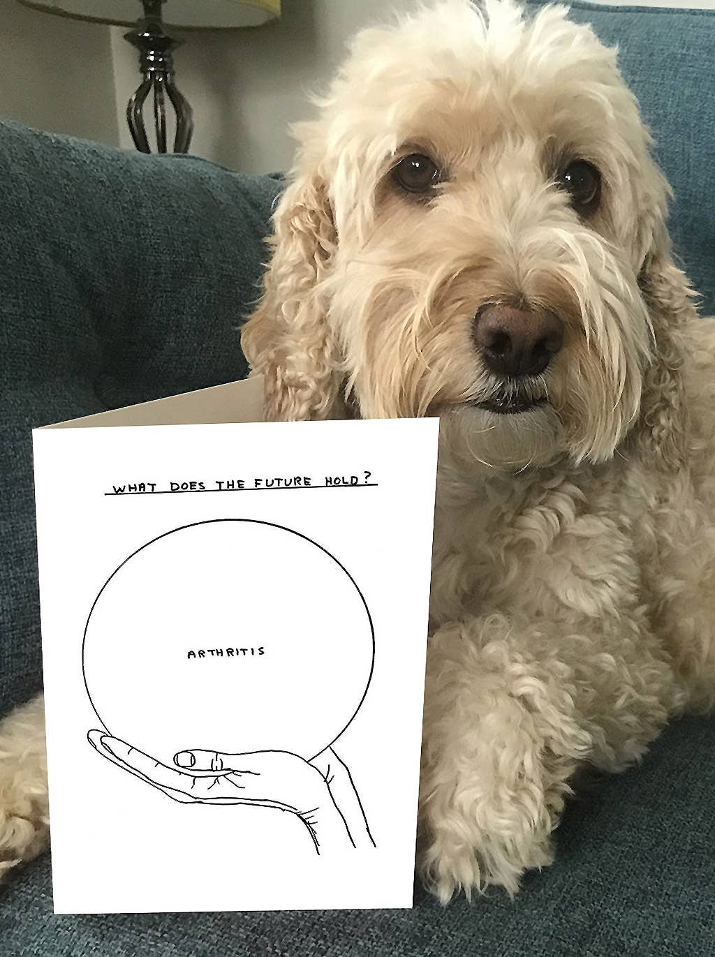 David Shrigley Card Arthritis Funny