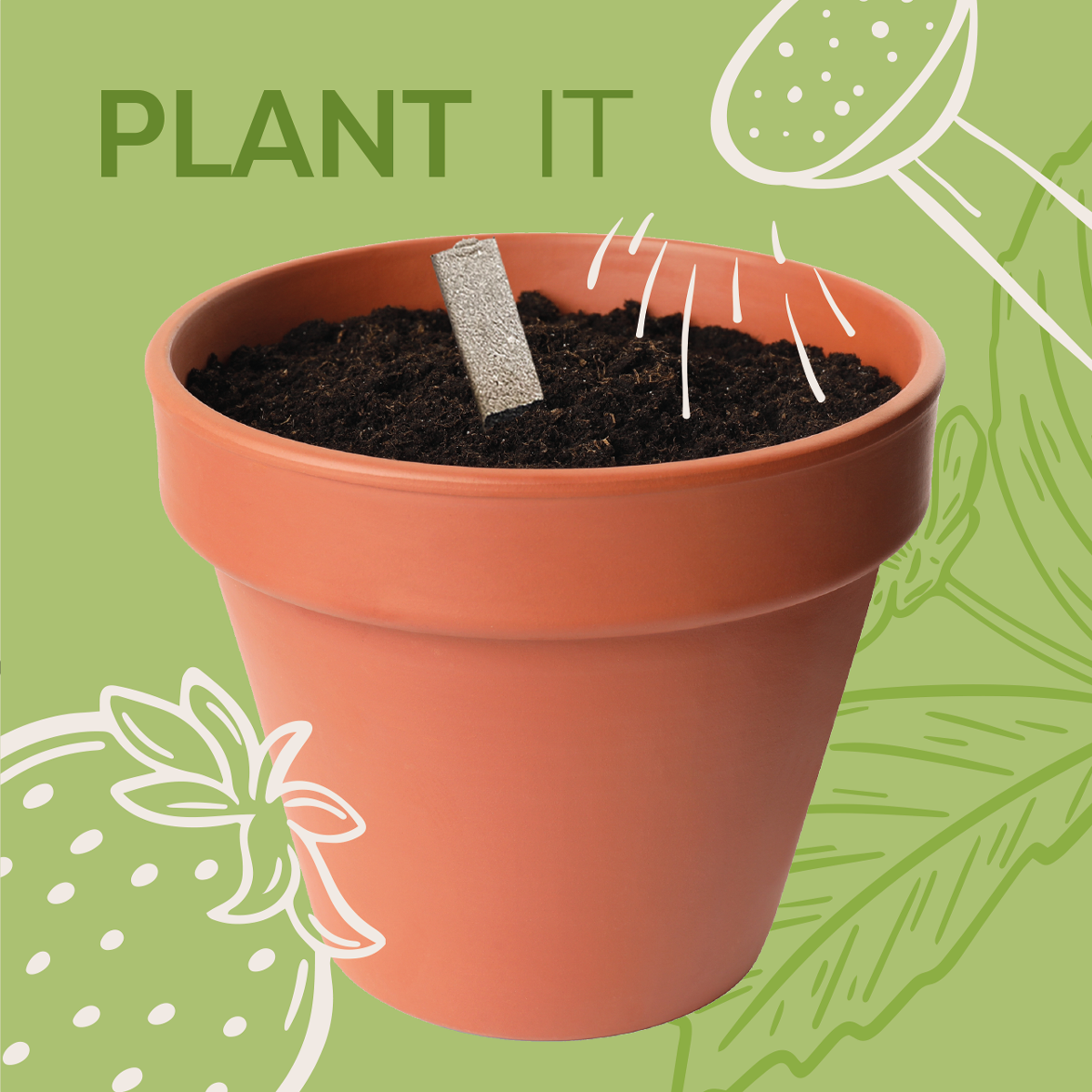 Ladybird Seedsticks®